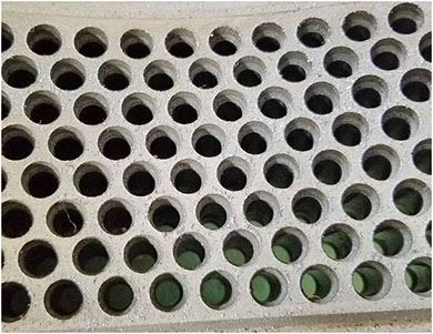 Inner side of ring die